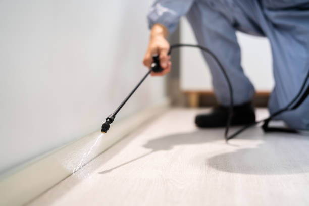 Licensed Pest Control service in Bogota, NJ - Show Me Pest Control