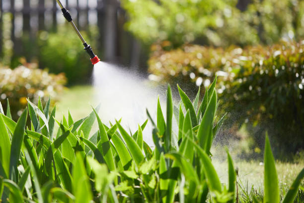 24/7 Emergency Mosquito Control experts in Bogota, NJ