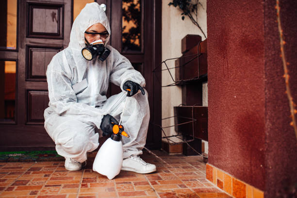 Reliable Mosquito Control contractor in Bogota, NJ by Show Me Pest Control