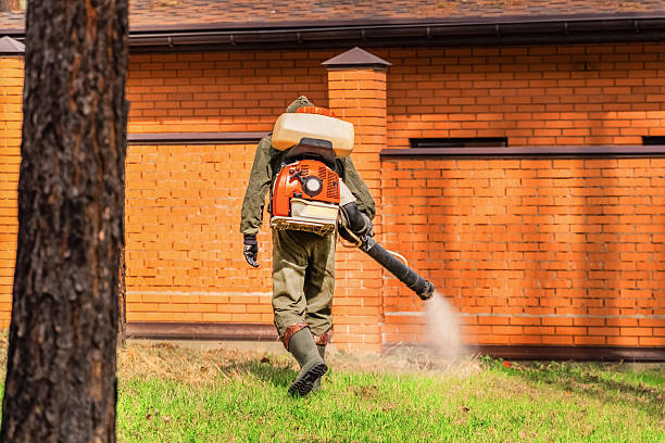 Top rated local Mosquito Control specialists in Bogota, NJ